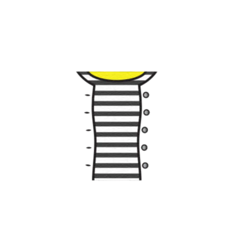 Thumbnail 31